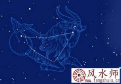 摩羯座男生和水瓶座可能在一起吗 会幸福吗