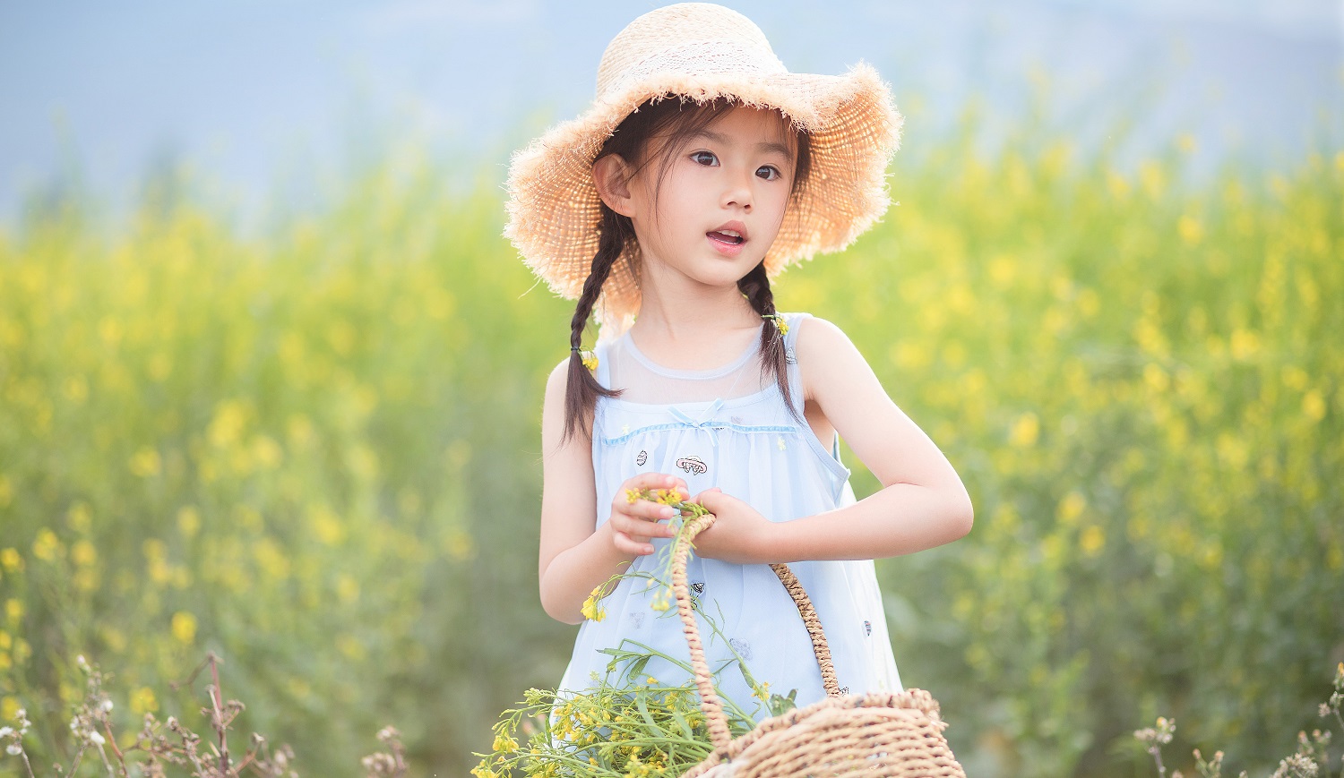 姓杨女孩起名字大全