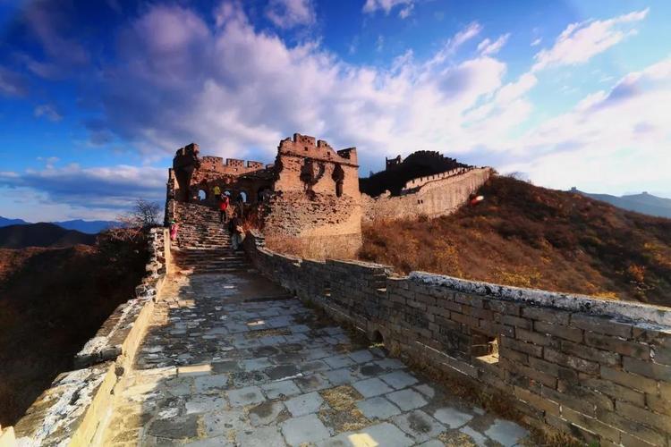 梦见马跑进家里