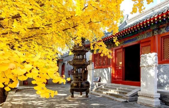 塍字吉凶 塍水是什么意思