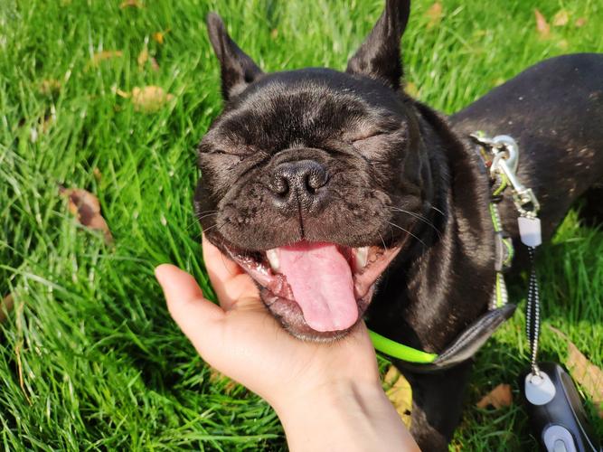 房屋的禁忌风水如何看