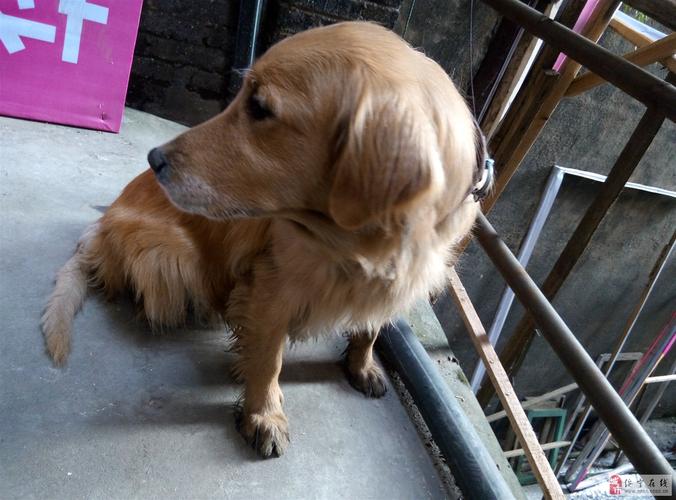 金牛座的绝情前任(金牛座绝情就是不爱了吗)