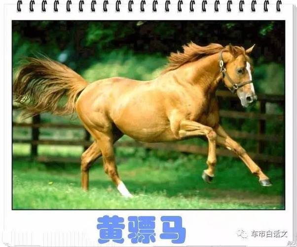 薛之谦的真名叫什么-薛之谦所有资料