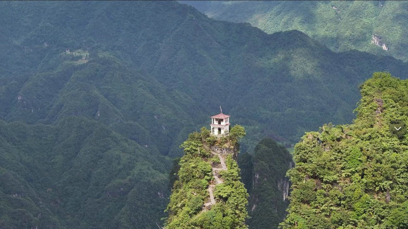 陶白白运势金牛座(陶白白最新一周星座运势金牛)