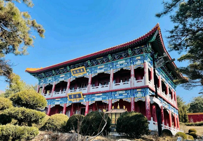 大s第三个宝宝怎么了 大s第三个宝宝怎么了