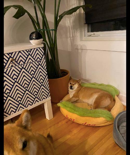 家居厕所对客厅的风水好吗