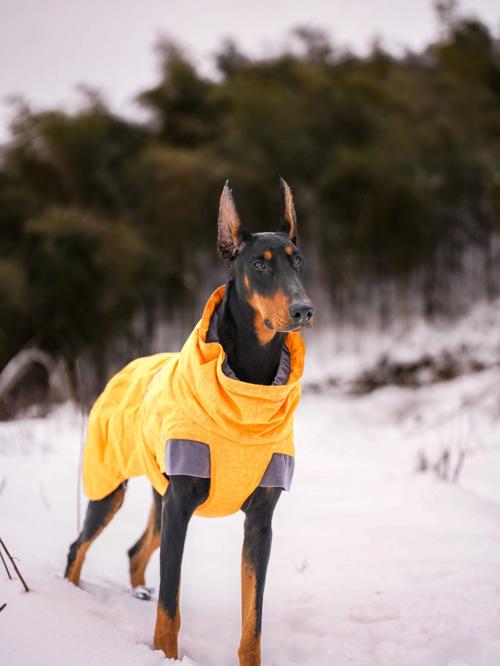 女孩带木的好名字,木字偏旁好听的名字