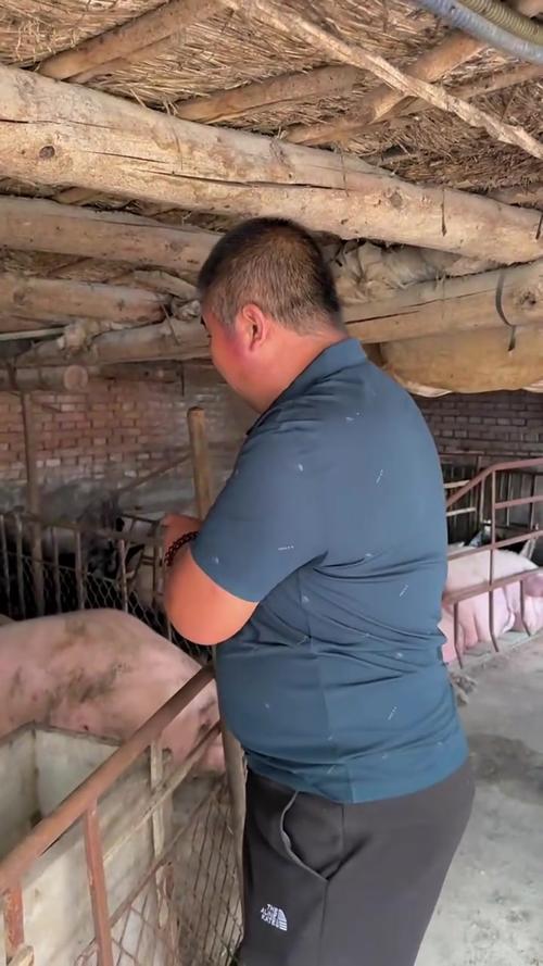 风水师的好名字 风水大师的名字大全