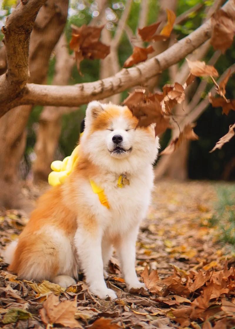 复仇者联盟人物介绍、复仇者联盟人物介绍 成员 名字